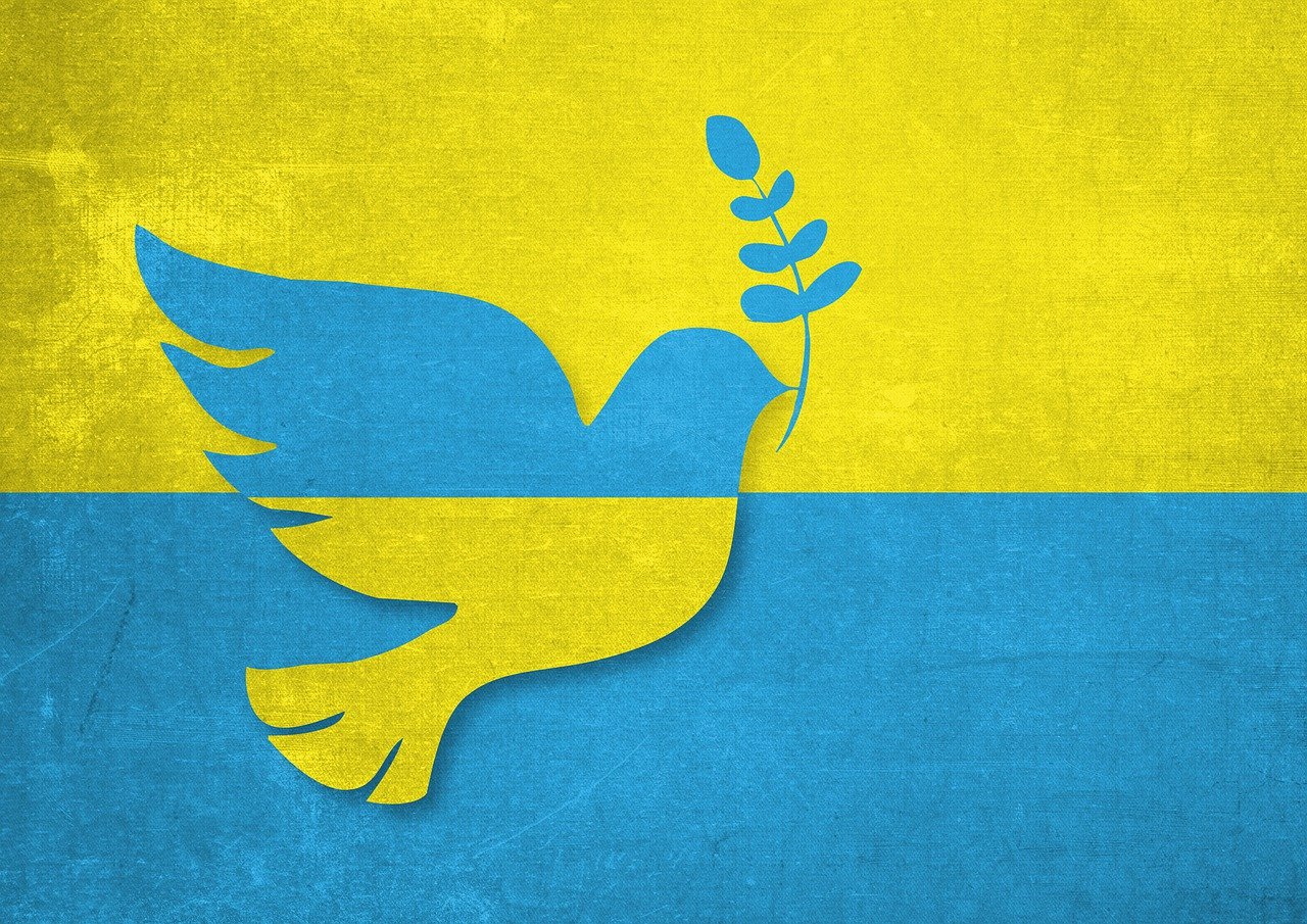 peace dove, ukraine, nature-7079245.jpg